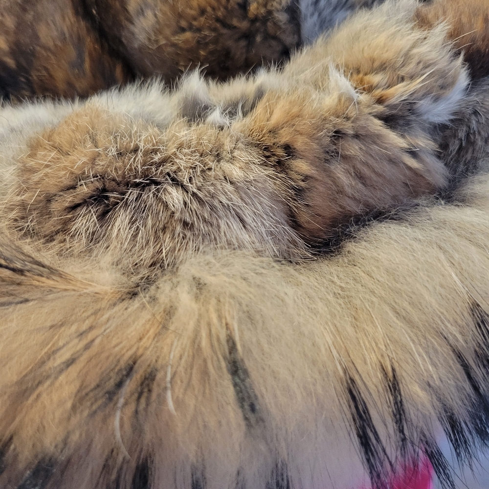 Parajumper winter coat VEUC - Picture 7 of 9